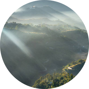 Mizoram