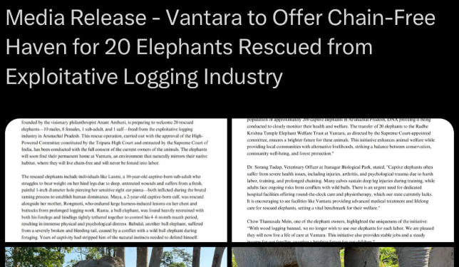 Vantara to offer chain-free shelter for 20 elephants rescued from timber industry