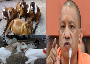 কুৰবানীৰ ফটো ছ’চিয়েল মিডিয়াত আপলোড কৰিলেই গ্ৰেপ্তাৰ!