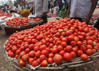 বিলাহীৰ দাম শুনিলেই আপোনাৰ জ্বৰ উঠিব
