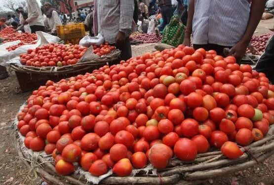 বিলাহীৰ দাম শুনিলেই আপোনাৰ জ্বৰ উঠিব