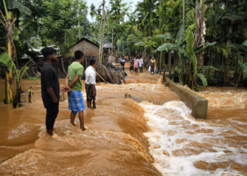 ৰাজ্যত বানৰ সংহাৰী ৰূপ : এতিয়ালৈ ৩৮ জনতকৈও অধিক লোকৰ মৃত্যু