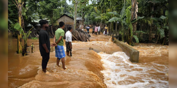 ৰাজ্যত বানৰ সংহাৰী ৰূপ : এতিয়ালৈ ৩৮ জনতকৈও অধিক লোকৰ মৃত্যু