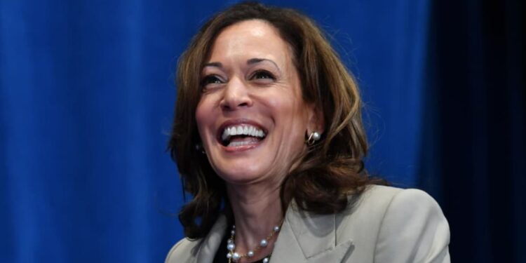 কমলা হেৰিছ হৈছে হিলাৰী ক্লিন্টনৰ দাসী! প্ৰাক্তন সাংসদৰ মন্তব্যত তোলপাৰ আমেৰিকা