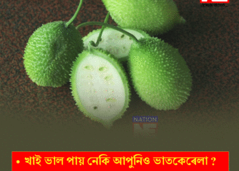 আপুনিও খাই ভাল পায় নেকি ভাত কেৰেলা ?