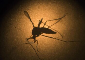 আন এক নতুন ভাইৰাছে লৈছে ভয়ংকৰ ৰূপ; দুদিনত মৃত্যু পাঁচটি শিশুৰ