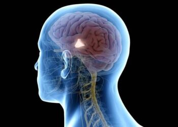 “হাইপাৰচেক্সুৱেলিটি ডিচঅৰ্ডাৰ”ৰ চিকাৰ কলকাতা কাণ্ডৰ মূল অভিযুক্ত, জানক কি এই ৰোগ