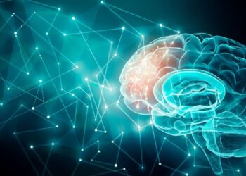 মগজু বিজ্ঞান কি, স্মৃতিবোৰ কেনেকৈ বছৰ বছৰ ধৰি জীয়াই থাকে?