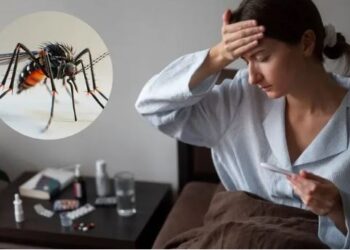 ভাল খবৰ! অহা বছৰৰ ভিতৰত ভাৰতলৈ আহিব ডেংগুৰ ভেকচিন