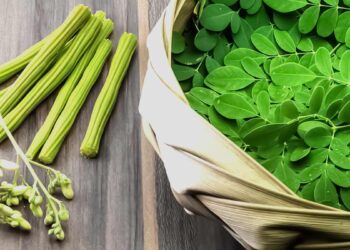 বহু ৰোগৰ মহৌষধ চজিনা পাতৰ উপকাৰিতা…..