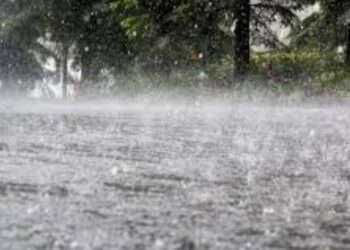 ধাৰাসাৰ বৰষুণ; ৭ টি শিশুৰ সৈতে ঘটিল কৰুণ ঘটনা