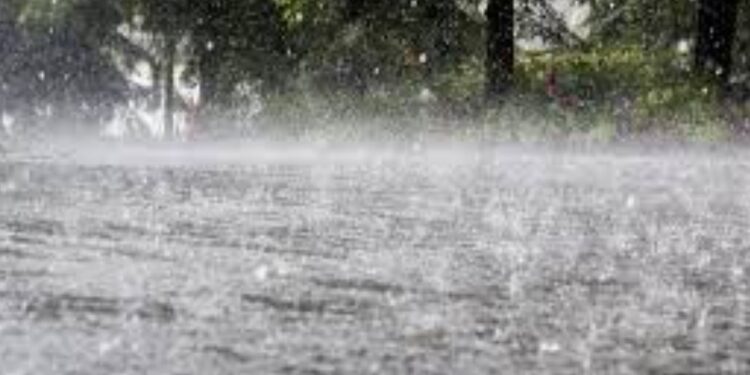 ধাৰাসাৰ বৰষুণ; ৭ টি শিশুৰ সৈতে ঘটিল কৰুণ ঘটনা