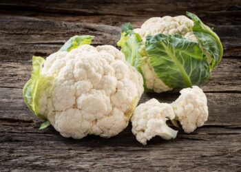 এক একৰ মাটিত ফুলকবি খেতি, ৪০ দিনত অৰ্জন ৫ লাখ