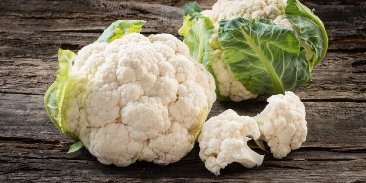 এক একৰ মাটিত ফুলকবি খেতি, ৪০ দিনত অৰ্জন ৫ লাখ