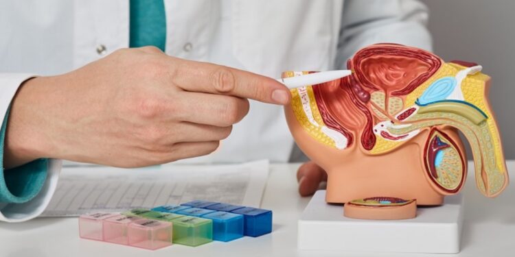 ৫০ বছৰ পিছত পুৰুষে একেবাৰে বাদ দিব লাগিব এইসমূহ অভ্যাস; অন্যথা বিপদ অনিবাৰ্য !