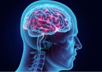 বৰ্ধিত তাপত বৃদ্ধি মস্তিষ্কৰ ৰক্তক্ষৰণ! জানক ইয়াৰ বিষয়ে সবিশেষ