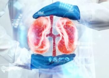 শৰীৰত ক্ৰিয়েটিনিন বৃদ্ধি পালে কি হ’ব পাৰে ?