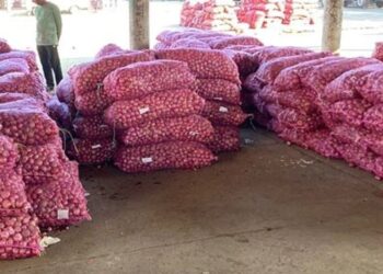 এতিয়া আৰু চিন্তা নাই; ৩৫ টকাত লাভ কৰিব ১ কিলোগ্ৰাম পিয়াজ