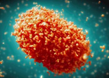 মাংকিপক্স কি, ক’ৰ পৰা উৎপত্তি হৈছিল মাংকিপক্সৰ, ইয়াৰ পৰা বিপদৰ আশংকা কি আৰু ইয়াৰ লক্ষণবোৰ কি?