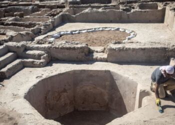 ইজৰাইলৰ ১৫০০ বছৰ পুৰণি সুৰা কাৰখানাৰ কাহিনী, যি পৃথিৱীৰ বহুতো দেশতেই আছিল জনপ্ৰিয়