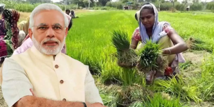 ৯.৫ কোটি কৃষকৰ বাবে ভাল খবৰ; ১৮তম কিস্তিৰ ধন সোমোৱাৰ দিন ঘোষণা