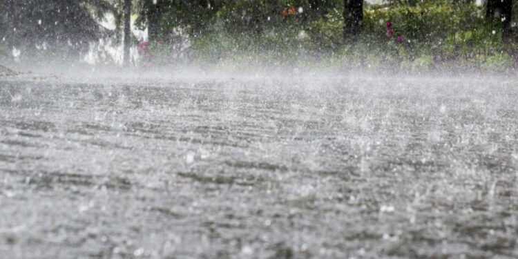 বৰষুণে লৈছে ভয়ংকৰ ৰূপ; ৩ জন লোকৰ মৃত্যু, বহু স্থানত বিদ্যালয় বন্ধ