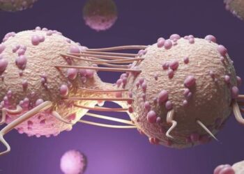 মৃত্যু ৰোধ কৰিব পৰা ৫টা তেজৰ পৰীক্ষা,  যিয়ে প্ৰথম পৰ্যায়ত ধৰা পেলায় কেন্সাৰৰ দৰে মাৰাত্মক ৰোগ