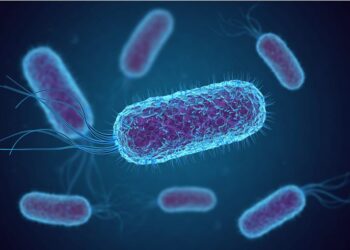 এণ্টিবায়’টিকৰ অত্যধিক ব্যৱহাৰ হৈ উঠিছে চিন্তাৰ বিষয়! শেষ হৈছে লাখ লাখ লোকৰ জীৱন