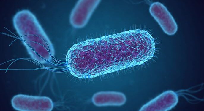 এণ্টিবায়’টিকৰ অত্যধিক ব্যৱহাৰ হৈ উঠিছে চিন্তাৰ বিষয়! শেষ হৈছে লাখ লাখ লোকৰ জীৱন