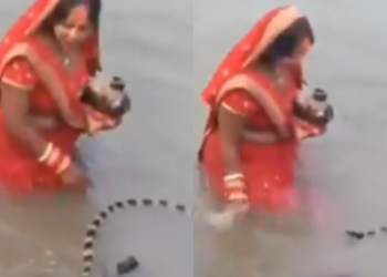 ছট পূজাৰ সময়তেই পানীত ওলাল সাপ; ইয়াৰ পিছত মহিলাই কি কৰিলে, দেখি আচৰিত হ’ব আপুনি