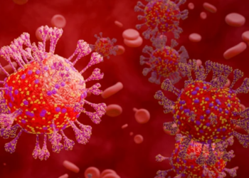 COVID ভাইৰাছে নিৰাময় কৰিব জটিল ৰোগ কেন্সাৰ! কি কয় বিজ্ঞানীসকলে?