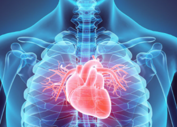 শীতকালত বৃদ্ধি হয় হাৰ্ট এটেকৰ সম্ভাৱনা! কেনেদৰে যত্ন ল’ব জানক বিশেষজ্ঞই দিয়া এই তথ্যৰ পৰা পৰা