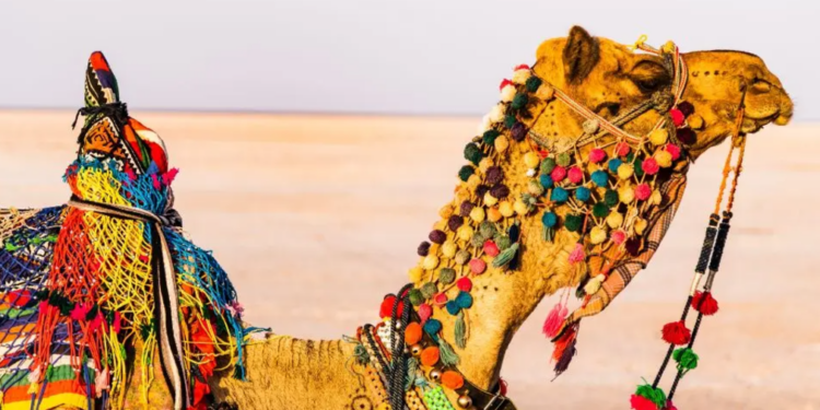 অনন্য সংস্কৃতিৰ সৈতে জড়িত ভাৰতত শীতকালত উদযাপিত ৫টা উৎসৱ