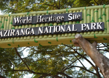 কাজিৰঙাত পৰ্যটকৰ ভিৰ; ১,৪৬,৬০,০৮৫ টকাৰ ৰাজহ সংগ্ৰহ