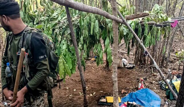 নিৰাপত্তাৰক্ষীৰে ভয়ংকৰ সংঘৰ্ষত ৭জন মাওবাদী নিহত