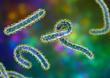 ১৭ দেশৰ ভ্ৰমণকাৰীলৈ সতৰ্কবাণী, এবিধ ভাইৰাছে ধাৰণ কৰিছে ভয়ানক ৰূপ