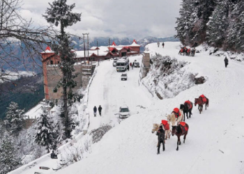 পাহৰি যাব শিমলা! শিমলাৰ পৰা মাত্ৰ ১৬ কিলোমিটাৰ দূৰত্বত অৱস্থিত এই ঠাইখনৰ সৌন্দৰ্য্যই মোহিত কৰিব আপোনাকো