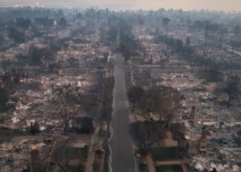 পেলেষ্টাইনবাসীৰ অভিশাপ লাগিল আমেৰিকাত! এখন ৰাজ্যত অবৰ্ণনীয় পৰিস্থিতি