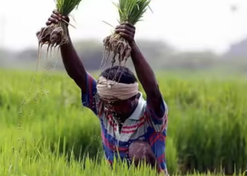আয় দুগুণ কৃষকৰ! চৰকাৰী ভূমিত খেতি কৰা কৃষকে পি এম কিষাণ যোজনাৰ অধীনত ধন পায় নে?