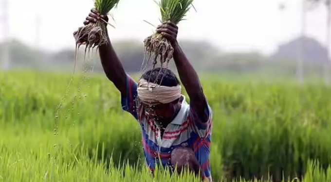 আয় দুগুণ কৃষকৰ! চৰকাৰী ভূমিত খেতি কৰা কৃষকে পি এম কিষাণ যোজনাৰ অধীনত ধন পায় নে?