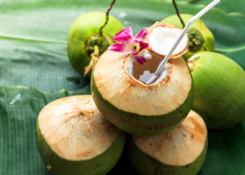 গৰমৰ পৰা ৰক্ষা পাবলৈ আপুনিও বাৰু নাৰিকলৰ পানী সেৱন কৰেনে? জানো আহক ইয়াৰ উপকাৰিতাৰ বিষয়ে…