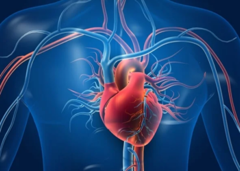 হৃদযন্ত্ৰ বন্ধ হৈ গ’লে ষ্টেণ্ট লগাব নে বাইপাছ অস্ত্ৰোপচাৰ কৰিব লাগে? বিশেষজ্ঞসকলে কি কয় জানো আহক