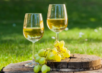 মহানগৰীত নিশা ২ বজালৈ খোলা থাকিব ৱাইন শ্বপ!