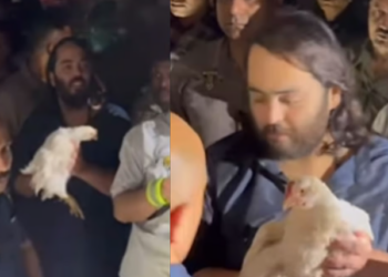 ‘দুগুন দাম দি দিয়ক’, পদযাত্ৰাৰ সময়ত অনন্ত আম্বানীয়ে ক্ৰয় কৰিলে শ-শ মূৰ্গী, কিন্তু কিয়?