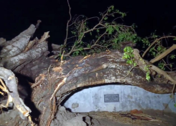 প্ৰকৃতিৰ কালৰূপ; বিহাৰ-উত্তৰ প্ৰদেশত বজ্ৰপাতত মৃত্যু ৪০ৰো অধিক লোকৰ