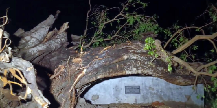 প্ৰকৃতিৰ কালৰূপ; বিহাৰ-উত্তৰ প্ৰদেশত বজ্ৰপাতত মৃত্যু ৪০ৰো অধিক লোকৰ