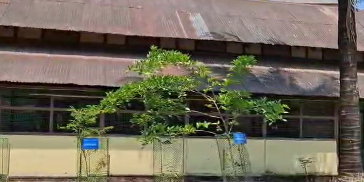 শিক্ষা সেতুক অংগুষ্ঠ! বিহুৰ পূৰ্বে দৰমহা কৰ্তন ৩৬৮ গৰাকী শিক্ষকৰ