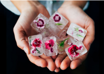 ৪০ ঊৰ্ধ্বৰ পিছত গৰ্ভধাৰণ কৰাটো সহজ নে? ডিম্বাণু জমা হোৱাৰ ভূমিকা কি?