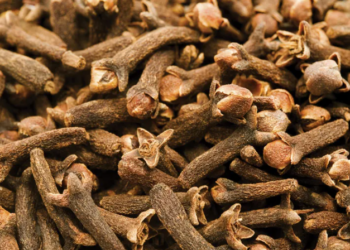 ঔষধি গুণেৰে ভৰা এইবিধ উৎস গ্ৰহণে গ্ৰীষ্মকালত খোৱাৰ বাবে ব্যৱহাৰ কৰিব পাৰিনে? জানো আহক গৱেষণাই কি কয়…