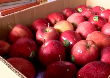 পাকিস্তানক সমৰ্থনৰ ফল ভুগিব তুৰ্কীয়ে! ভাৰত চৰকাৰে লব এক্সন